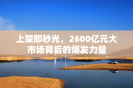 上架即秒光，2600亿元大市场背后的爆发力量