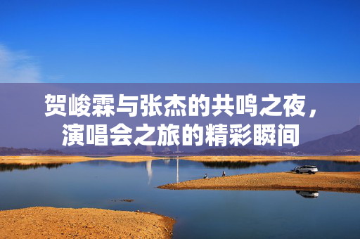 贺峻霖与张杰的共鸣之夜，演唱会之旅的精彩瞬间