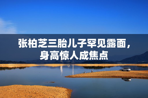 张柏芝三胎儿子罕见露面，身高惊人成焦点