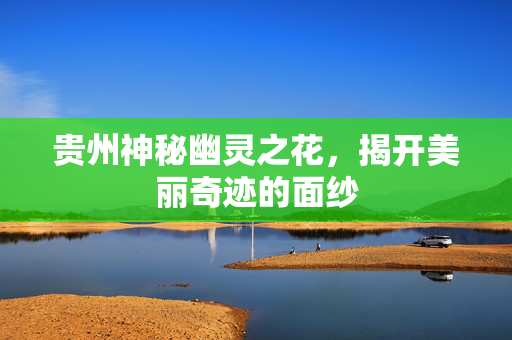 贵州神秘幽灵之花，揭开美丽奇迹的面纱