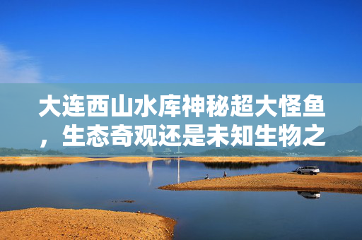 大连西山水库神秘超大怪鱼，生态奇观还是未知生物之谜？