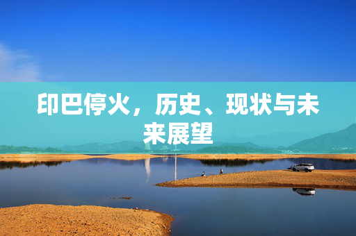 印巴停火，历史、现状与未来展望