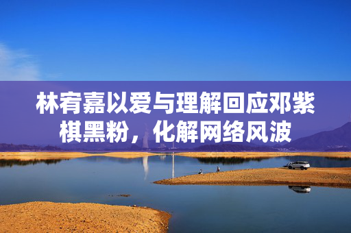 林宥嘉以爱与理解回应邓紫棋黑粉，化解网络风波