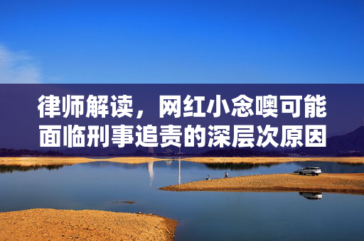 律师解读，网红小念噢可能面临刑事追责的深层次原因
