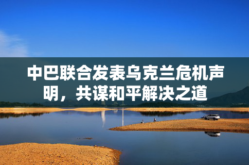 中巴联合发表乌克兰危机声明，共谋和平解决之道