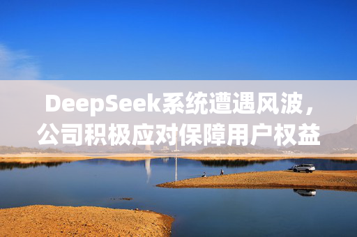 DeepSeek系统遭遇风波，公司积极应对保障用户权益