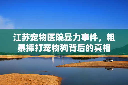 江苏宠物医院暴力事件，粗暴摔打宠物狗背后的真相