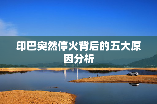 印巴突然停火背后的五大原因分析