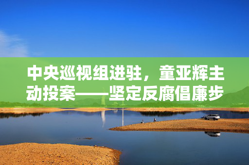 中央巡视组进驻，童亚辉主动投案——坚定反腐倡廉步伐的体现