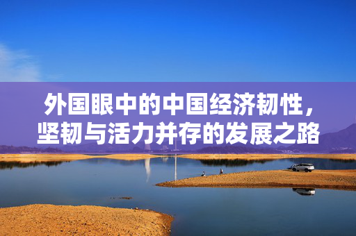 外国眼中的中国经济韧性，坚韧与活力并存的发展之路