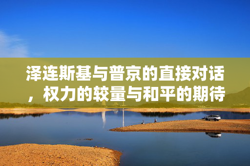 泽连斯基与普京的直接对话，权力的较量与和平的期待