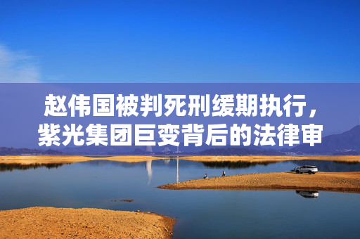 赵伟国被判死刑缓期执行，紫光集团巨变背后的法律审判