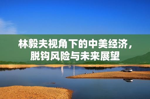 林毅夫视角下的中美经济，脱钩风险与未来展望