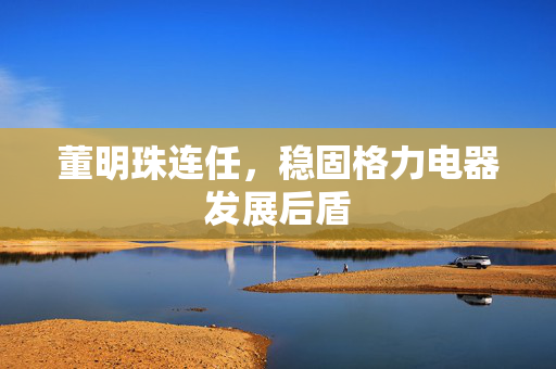 董明珠连任，稳固格力电器发展后盾