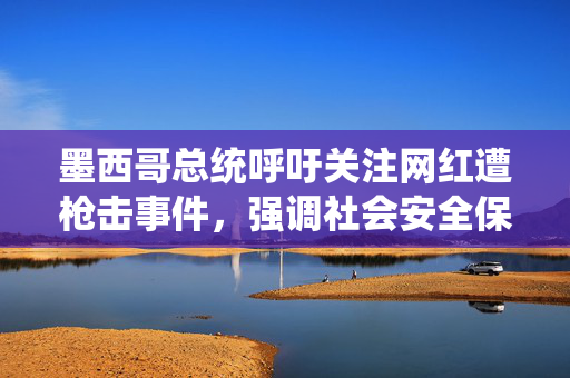 墨西哥总统呼吁关注网红遭枪击事件，强调社会安全保障的重要性