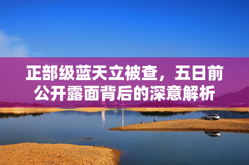 正部级蓝天立被查，五日前公开露面背后的深意解析
