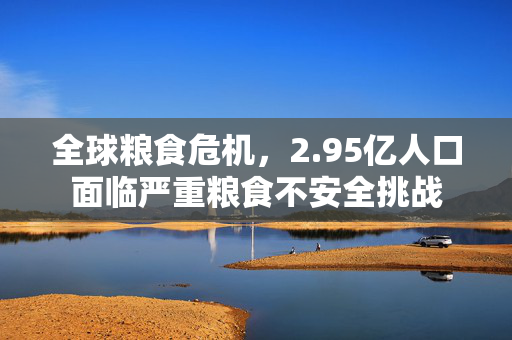 全球粮食危机，2.95亿人口面临严重粮食不安全挑战