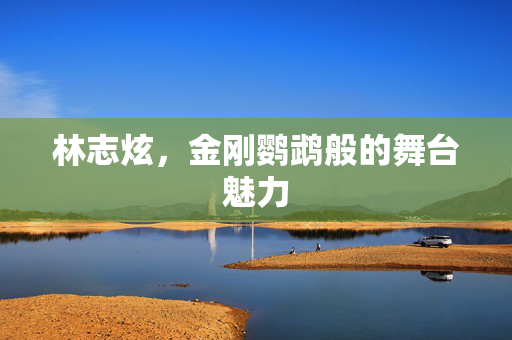 林志炫，金刚鹦鹉般的舞台魅力