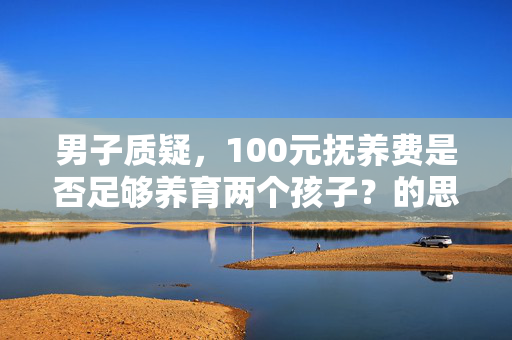 男子质疑，100元抚养费是否足够养育两个孩子？的思考