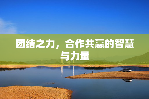 团结之力，合作共赢的智慧与力量