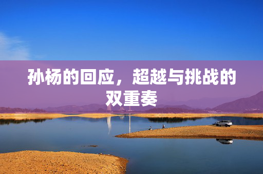 孙杨的回应，超越与挑战的双重奏
