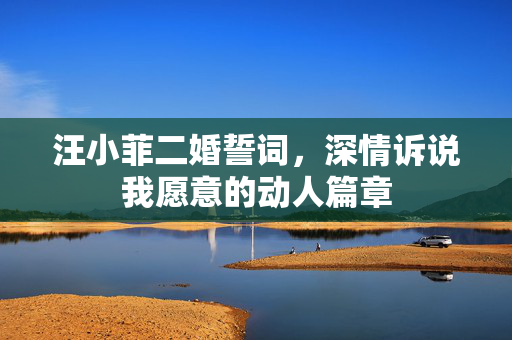 汪小菲二婚誓词，深情诉说我愿意的动人篇章