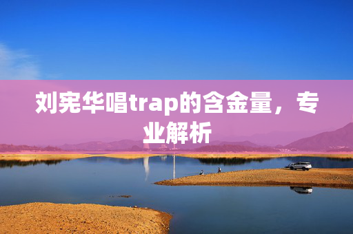 刘宪华唱trap的含金量，专业解析