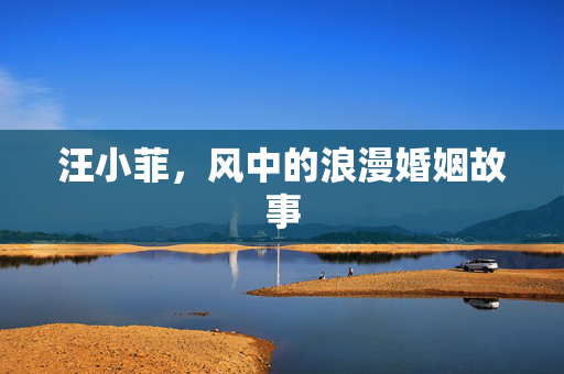 汪小菲，风中的浪漫婚姻故事