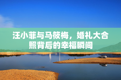 汪小菲与马筱梅，婚礼大合照背后的幸福瞬间