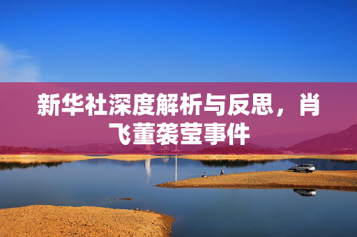 新华社深度解析与反思，肖飞董袭莹事件