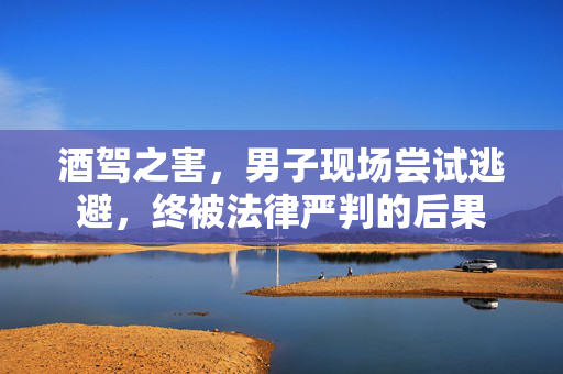 酒驾之害，男子现场尝试逃避，终被法律严判的后果