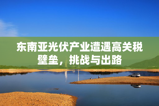 东南亚光伏产业遭遇高关税壁垒，挑战与出路