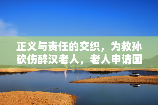 正义与责任的交织，为救孙砍伤醉汉老人，老人申请国赔128万事件剖析