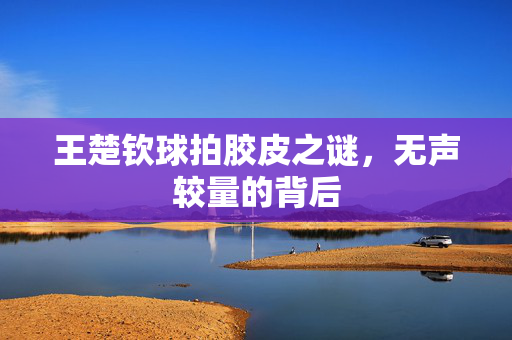 王楚钦球拍胶皮之谜，无声较量的背后