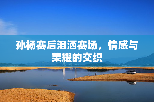 孙杨赛后泪洒赛场，情感与荣耀的交织