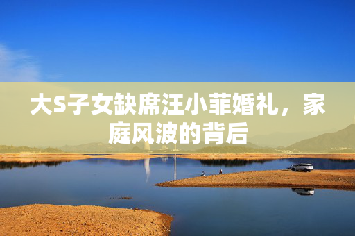 大S子女缺席汪小菲婚礼，家庭风波的背后