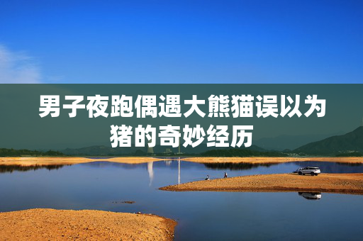 男子夜跑偶遇大熊猫误以为猪的奇妙经历