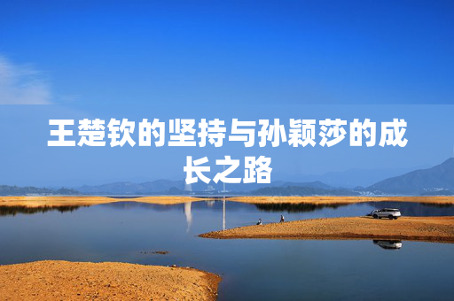 王楚钦的坚持与孙颖莎的成长之路