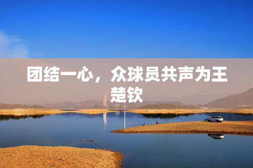 团结一心，众球员共声为王楚钦