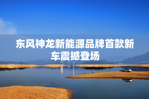 东风神龙新能源品牌首款新车震撼登场