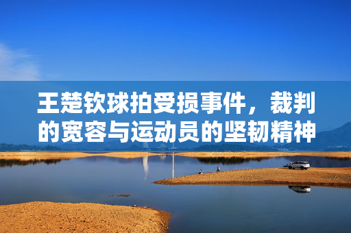 王楚钦球拍受损事件，裁判的宽容与运动员的坚韧精神展现