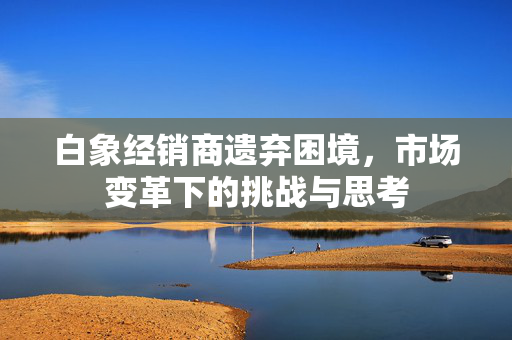 白象经销商遗弃困境，市场变革下的挑战与思考