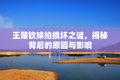 王楚钦球拍损坏之谜，揭秘背后的原因与影响