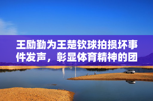 王励勤为王楚钦球拍损坏事件发声，彰显体育精神的团结与担当！