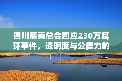 四川慈善总会回应230万耳环事件，透明度与公信力的双重考验