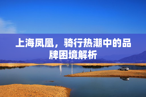 上海凤凰，骑行热潮中的品牌困境解析