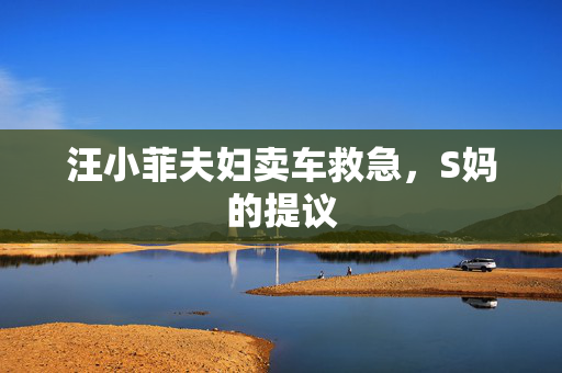汪小菲夫妇卖车救急，S妈的提议
