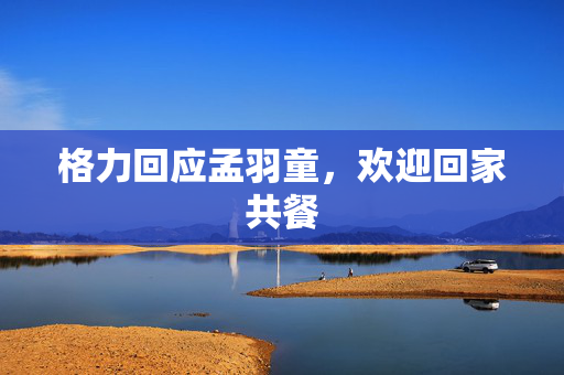 格力回应孟羽童，欢迎回家共餐