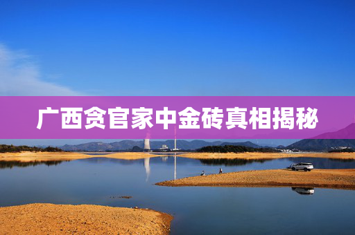 广西贪官家中金砖真相揭秘