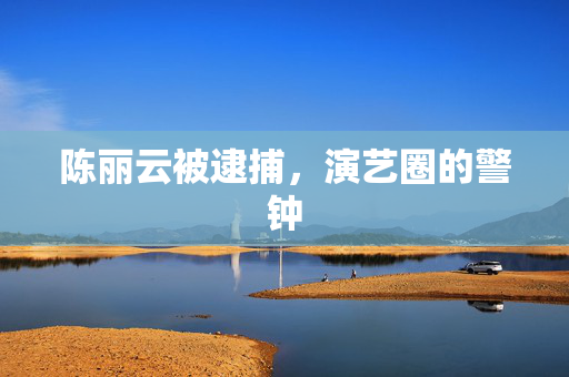 陈丽云被逮捕，演艺圈的警钟